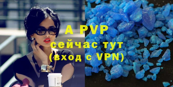 apvp Белокуриха