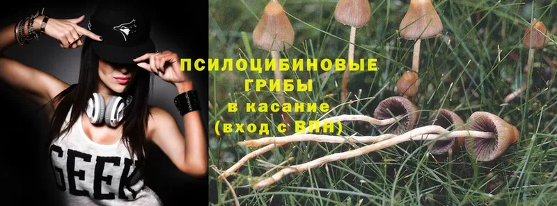 Галлюциногенные грибы Magic Shrooms  OMG ТОР  Белогорск 